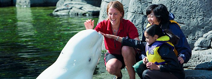 Ein Familienurlaub in British Columbia und gemeinsam Attraktionen wie das Vancouver Aquarium entdecken