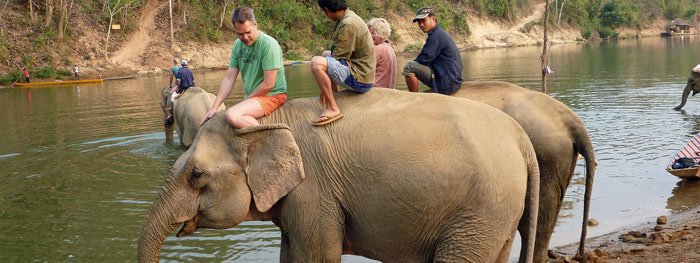 Elefantenführer in Laos