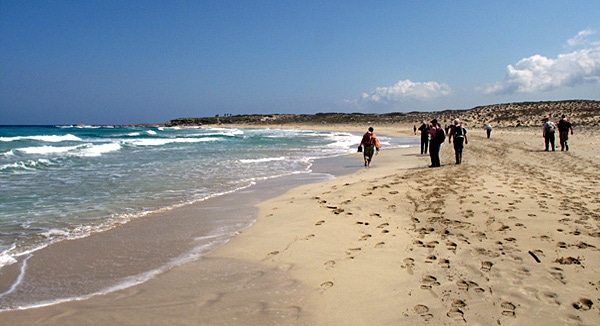 Nordzypern bietet herrliche Strände wie den Golden Sands Beach auf der Halbinsel Karpaz