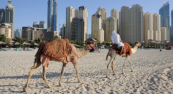 Dubai Kamel
