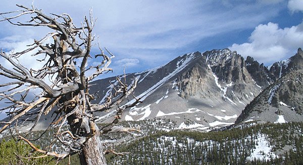 Spektakulär: Die wilde Landschaft des Great Basin Nationalparks in Nevada