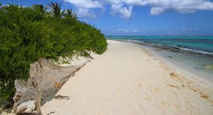 Karibik pur: Die Insel San Andrés bietet Traumstrände mit weißem Sand und sanftem Meer, das in zahlreichen Farben schimmert