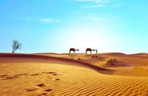 In Ägypten gibt es viel zu erleben & entdecken: Ob Wüste, Rotes Meer oder der Nil.