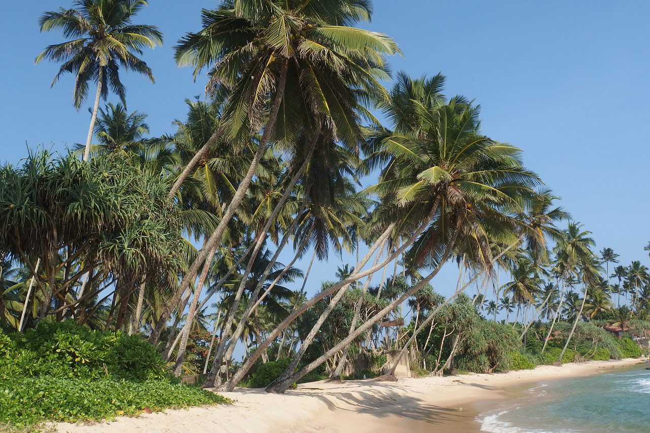 Palmen, Traumstrand und blaues Meer - Sri Lanka ist ein Urlaubs-Juwel.