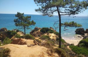 An der Algarve lässt sich noch eine ursprüngliche Natur genießen