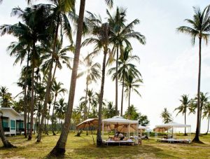 Kantary Beach Villas & Suites Khao Lak - Garten