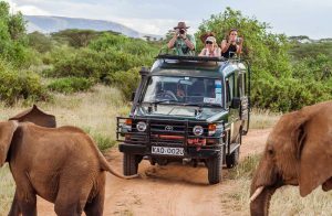 Safari in Afrika