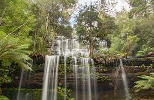 Wasserfall Tasmanien