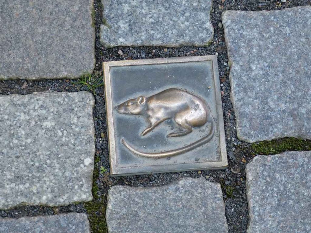 Hameln-Rattenfängertour